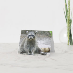 Raccoon Photo Folded Note Card