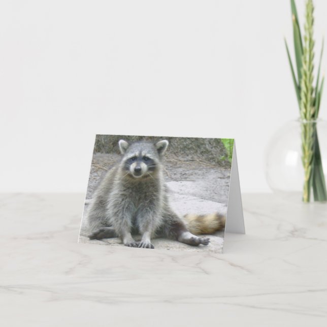 Raccoon Photo Folded Note Card (Front)