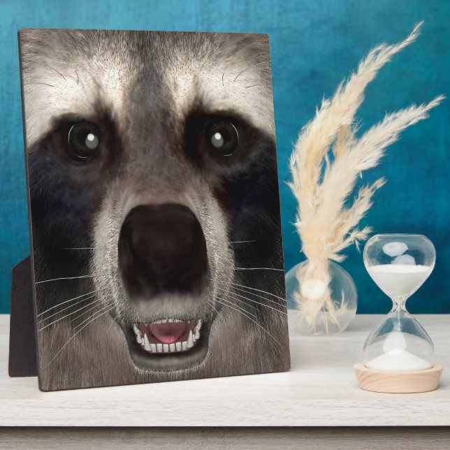 Raccoon Plaque (Side)