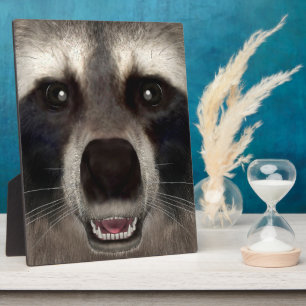 Raccoon Plaque