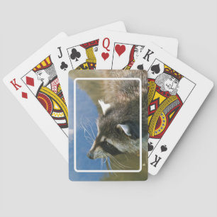 Raccoon Playing Cards