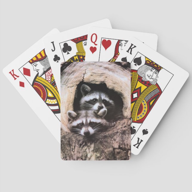 Raccoon Playing Cards (Back)