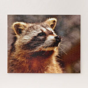 Raccoon Portrait, Jigsaw Puzzle