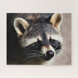 Raccoon Portrait, Jigsaw Puzzle