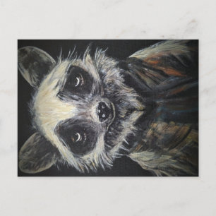 Raccoon Postcard