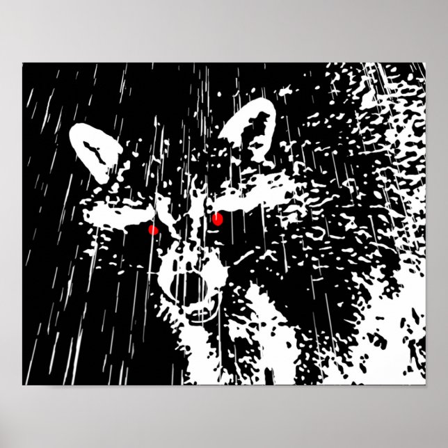 Raccoon Poster (Front)