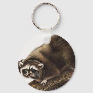 Raccoon (Procyon lotor) Illustration Keychain