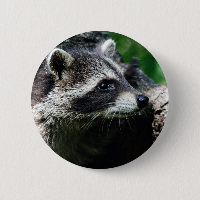 Raccoon Profile 2 Inch Round Button (Front)