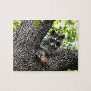 Raccoon - puzzle