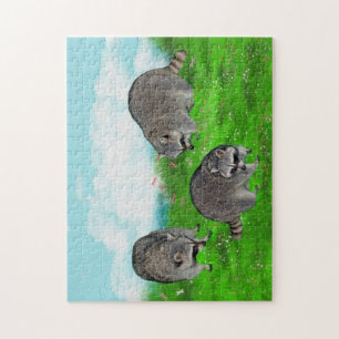 Raccoon Puzzle