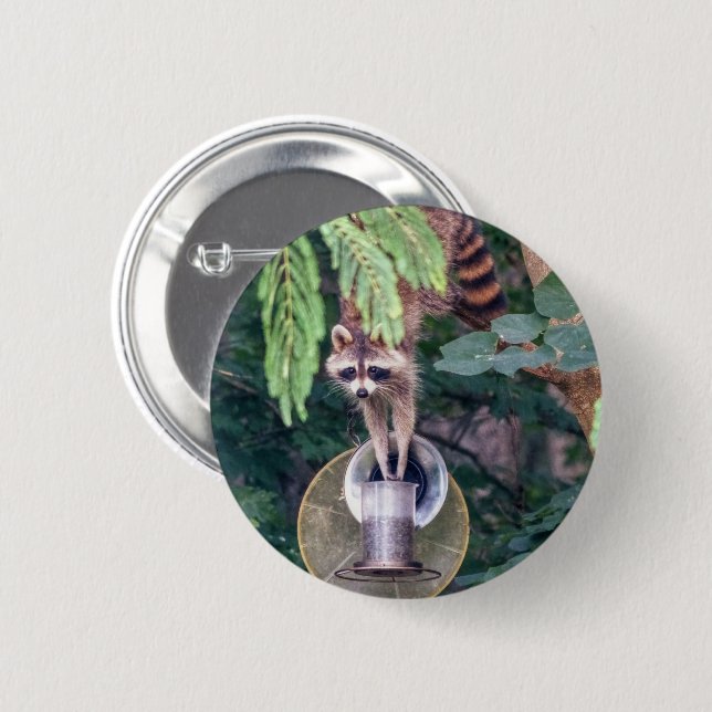 Raccoon Raiding the Bird Feeder 2 Inch Round Button (Front & Back)