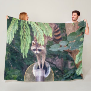 Raccoon Raiding the Bird Feeder Fleece Blanket