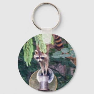 Raccoon Raiding the Bird Feeder Keychain