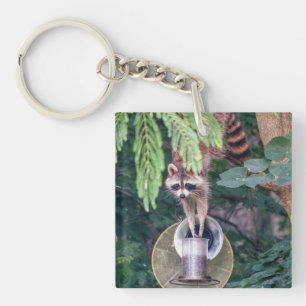 Raccoon Raiding the Bird Feeder Keychain