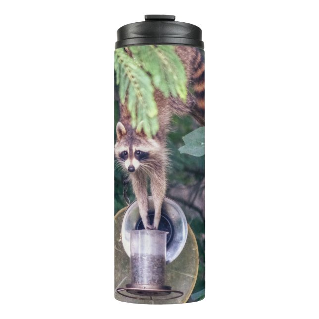Raccoon Raiding the Bird Feeder Thermal Tumbler (Front)