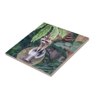 Raccoon Raiding the Bird Feeder Tile