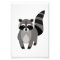 Raccoon Rascal