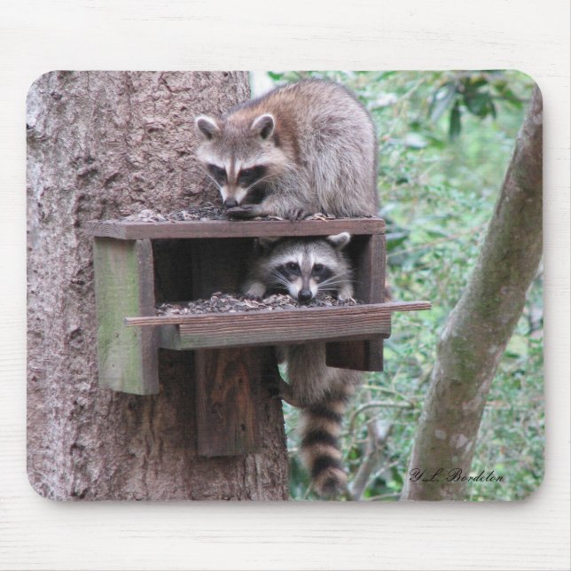 Raccoon Rascals Mousepad (Front)