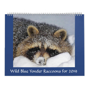 Raccoon Rescue & Release at Wild Blue Yonder 2019 Calendar