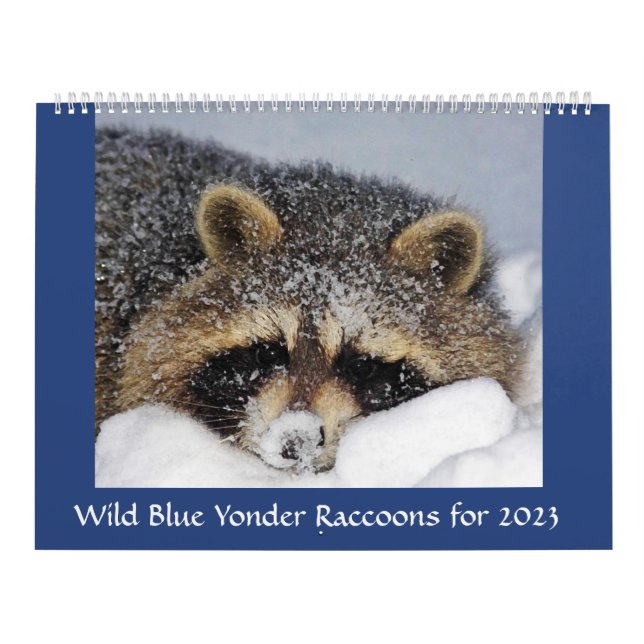Raccoon Rescue & Release at Wild Blue Yonder 2023 Calendar (Cover)
