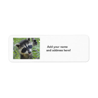 Raccoon Return Address Labels