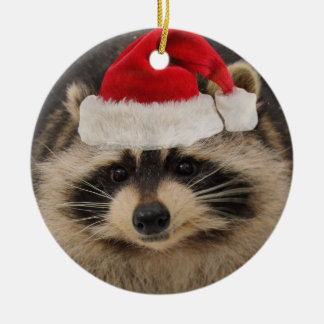 Raccoon Santa ornament