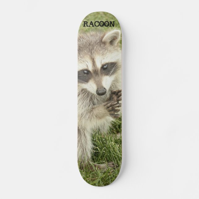Raccoon Skateboard (Front)