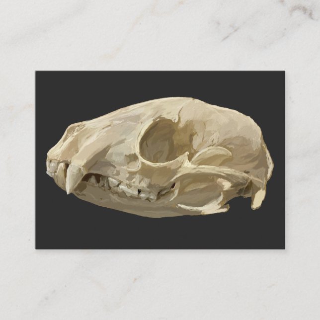 Raccoon Skull Enclosure Card (Front)