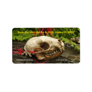 Raccoon skull old log with ferns and red Monarda Label