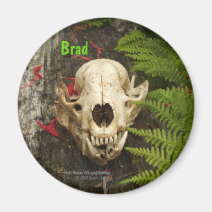 Raccoon skull old log with ferns and red Monarda Magnet