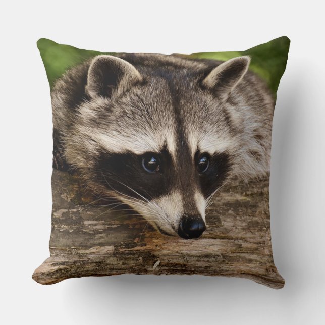 Raccoon Square Throw Pillow (Front)