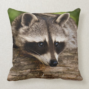 Raccoon Square Throw Pillow