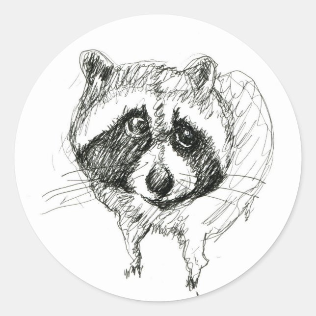 Raccoon Sticker (Front)