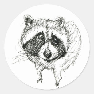 Raccoon Sticker