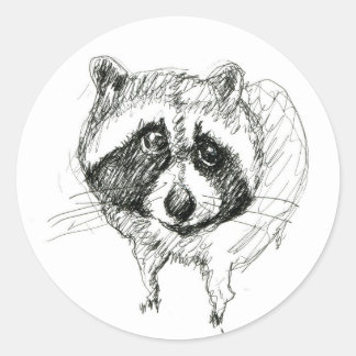 Raccoon Sticker