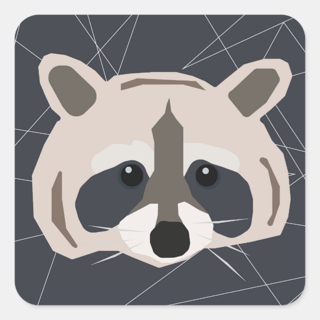Raccoon stickers (Front)