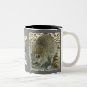 Raccoon sur Rock Mug