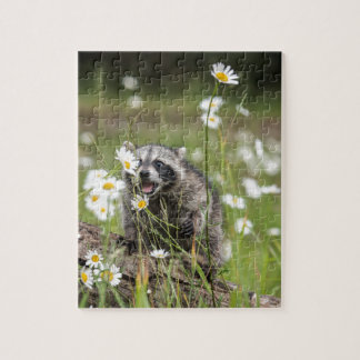 Raccoon Surprise Jigsaw Puzzle
