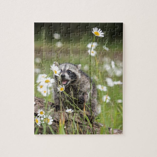 Raccoon Surprise Jigsaw Puzzle (Vertical)