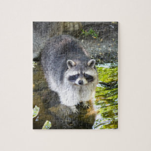 Raccoon Swimming in River Water Jigsaw Puzzle