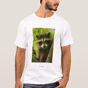 Raccoon T-Shirt