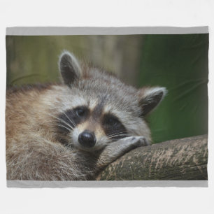 Raccoon Throw Blanket