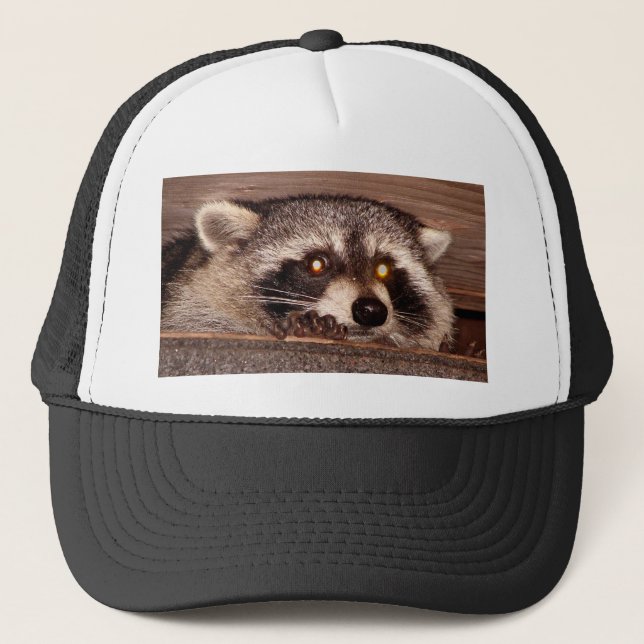 Raccoon Trucker Hat (Front)