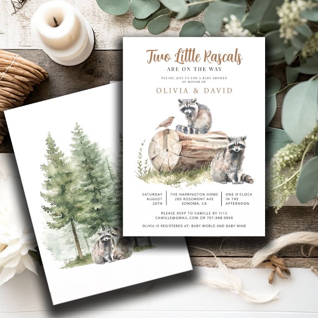 Raccoon Twins Baby Shower Invitation (Creator Uploaded)