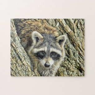 Raccoon Up Close - Puzzle