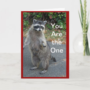 Raccoon Valentine Card