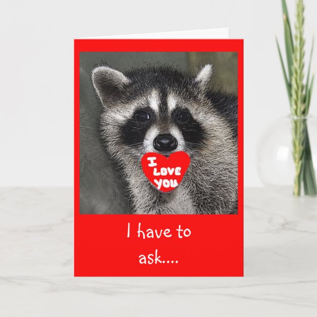 Raccoon Valentines Day Card (Front)