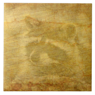 Raccoon Vintage Tile