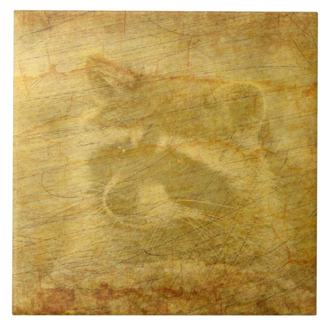 Raccoon Vintage Tile (Front)