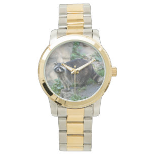 Raccoon Watch